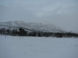 Vålåvalen 4