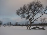 Vålåvalen 5