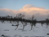 Clouds 3