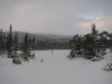 Fjelds 6