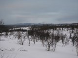 Fjelds 7