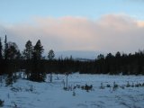 Fjelds 1