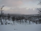 Fjelds 1