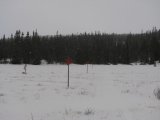 Snow 1