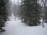 Snow 2