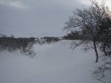 Snow 4