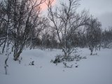 Snow 5