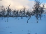 Snow 6