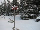Trail 4