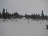Trail 5