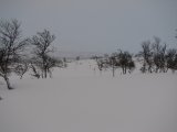 Trail 6
