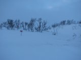 Trail 1