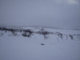 Trail 1