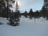 Trail 3