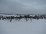 Fjelds 1