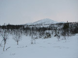 Giedtietjaerhvie 1