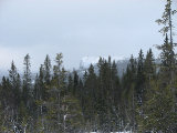 Uvberget 1