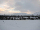 Fjelds 1