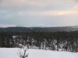 Fjelds 2