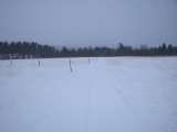 Snow 1