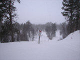 Snow 2