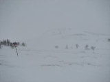 Trail 2