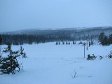 Trail 2