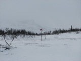 Trail 4