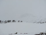 Snow 1