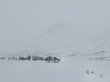 Snow 2