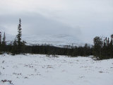 Trondfj�llen 1