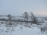 Kroktjrnarna 1