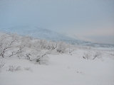 Smllhgarna 3