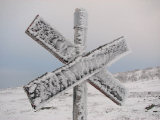 Trail 15