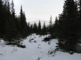 Trail 23