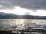Trnasjn 11