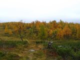 Autumn 10