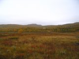 Autumn 11