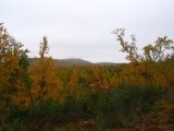 Autumn 12