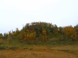 Autumn 13