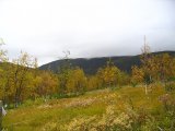 Autumn 2