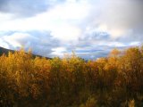 Autumn 4