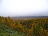 Autumn 7