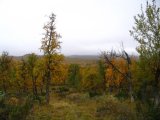 Autumn 9