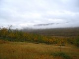 Clouds 3