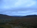 Fjelds 1