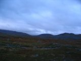 Fjelds 2