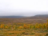 Fjelds 3