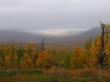 Fjelds 4