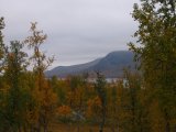 Fjelds 6